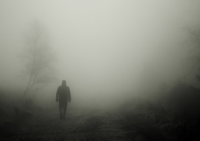 fog walk