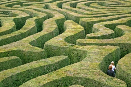 Hedge maze