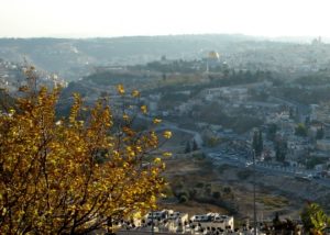 view from mountain