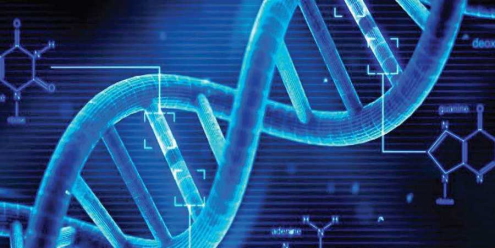 DNA showing 'ladder rungs'