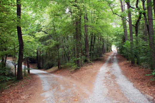 Fork in the road